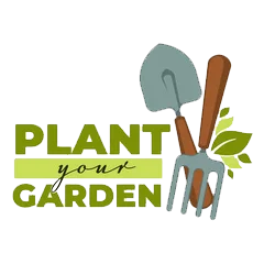 Bloom Harvest Deals Store